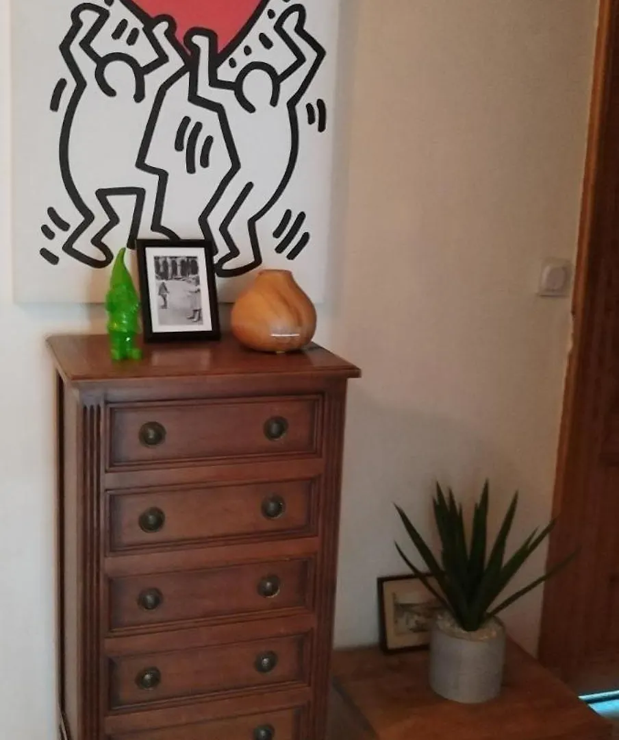 ** Bed & Breakfast Chez Brigitte Guesthouse Nice Frankrike